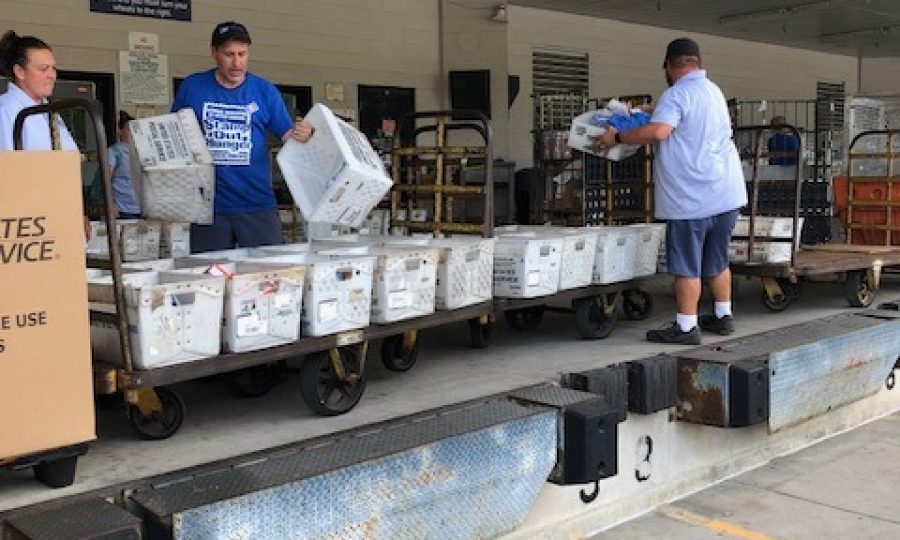 480667739_924136523205492_7718143993432244826_n